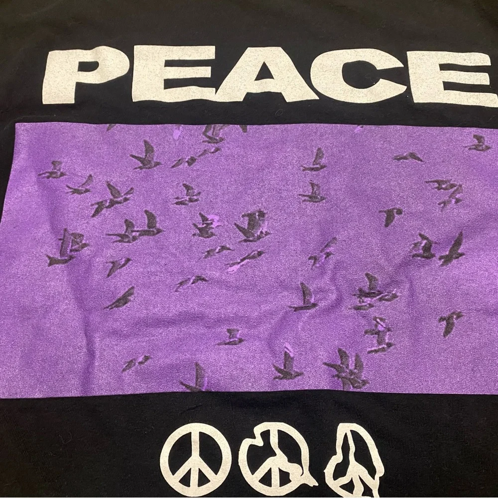 PacSun Men’s Graphic T-Shirt Peace Now Size Medium - Picture 7 of 8